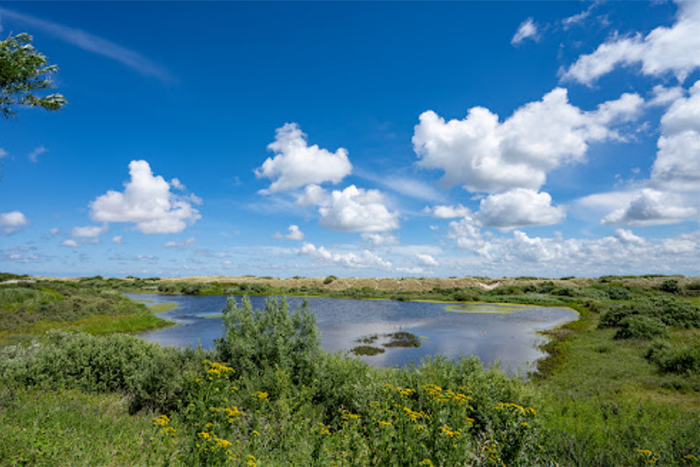 Dagtocht Heerlijk Texel