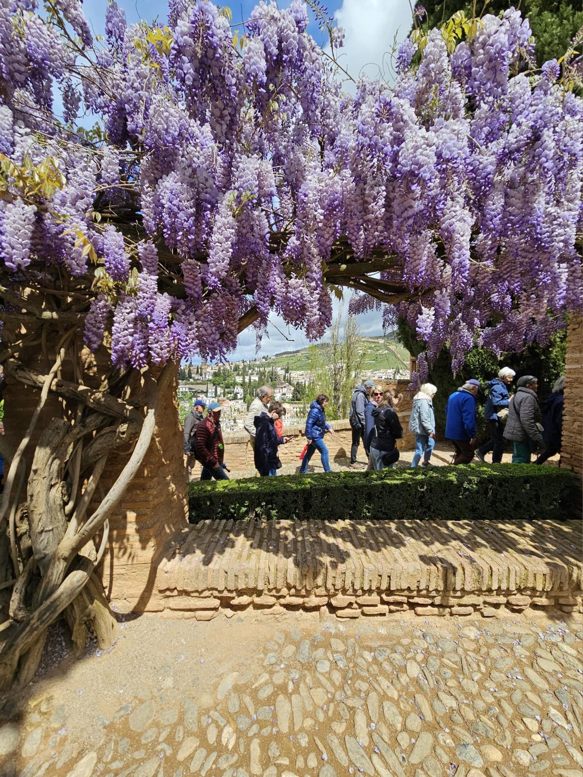 Compleet verzorgde excursie reizen