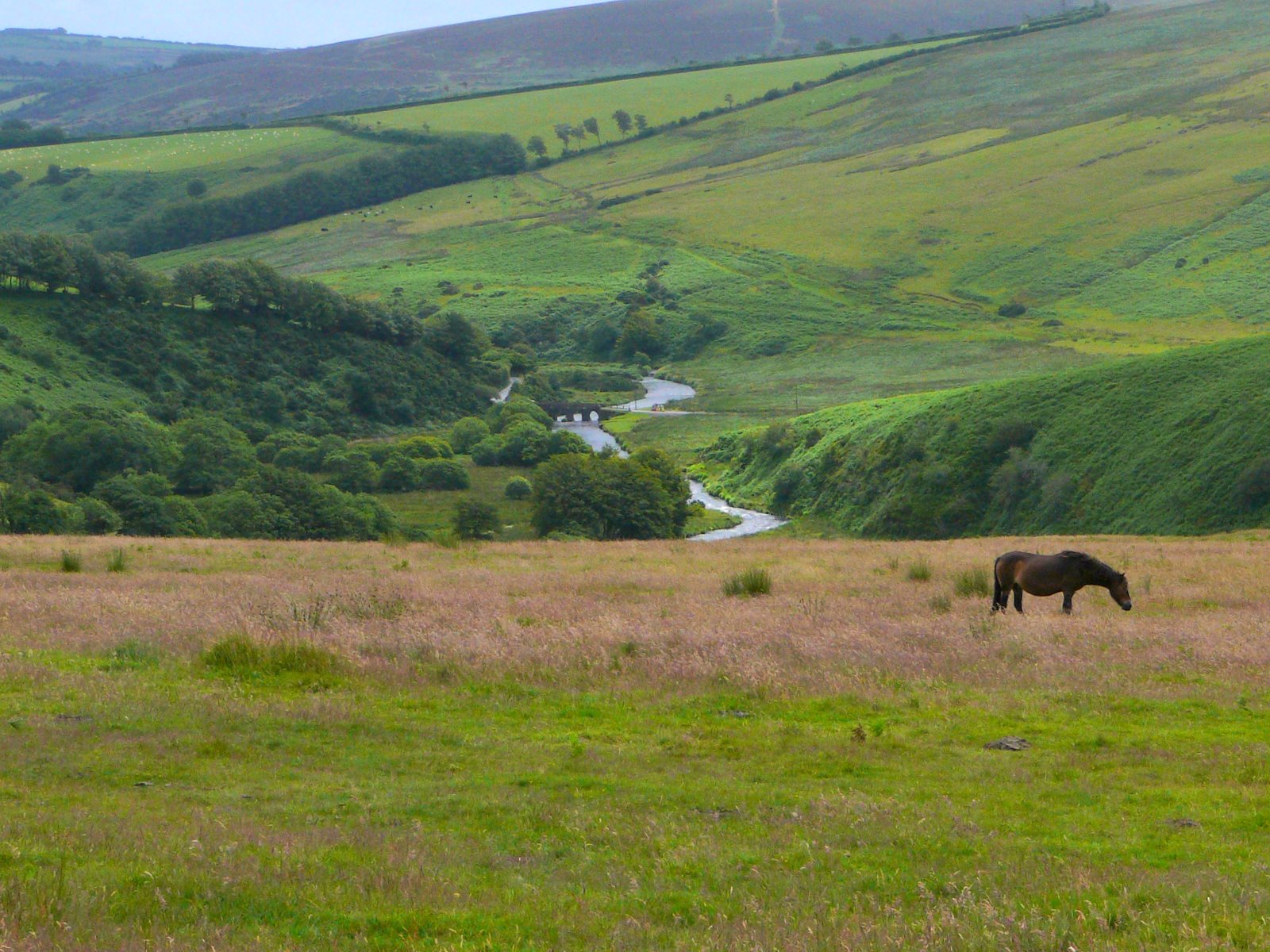 Engeland – landschap