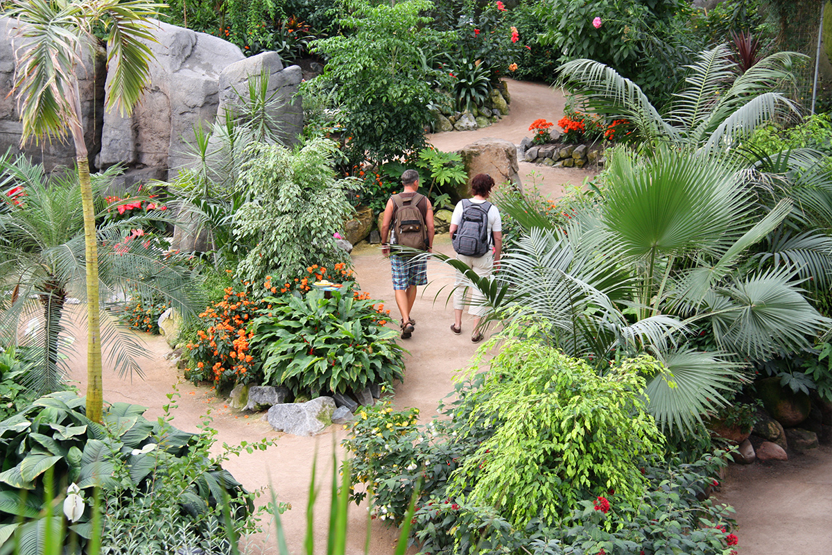 De Orchideeënhoeve Pantropica in Luttelgeest