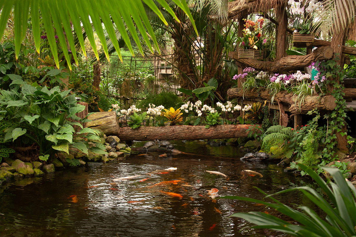 Pantropica – groepsdagtochten