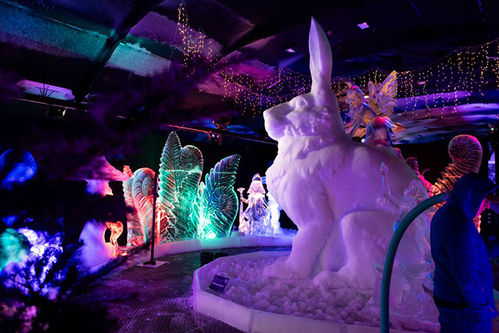 NEDERLANDS IJSBEELDEN FESTIVAL & ELBURG